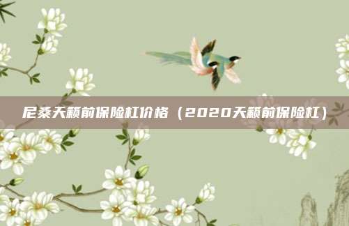 尼桑天籁前保险杠价格（2020天籁前保险杠）