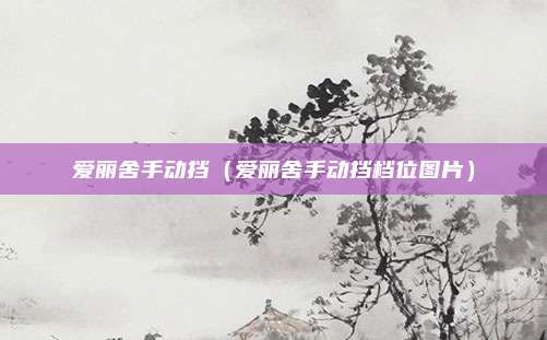 爱丽舍手动挡（爱丽舍手动挡档位图片）