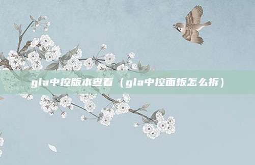 gla中控版本查看(gla中控面板怎么拆)