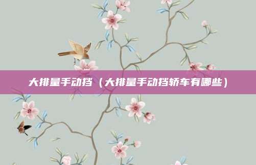 大排量手动挡(大排量手动挡轿车有哪些)