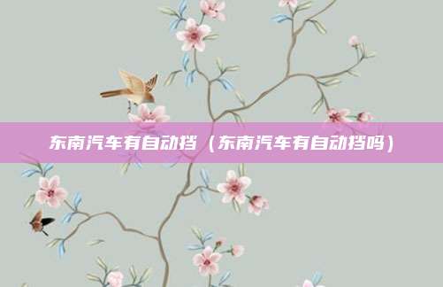 东南汽车有自动挡(东南汽车有自动挡吗)
