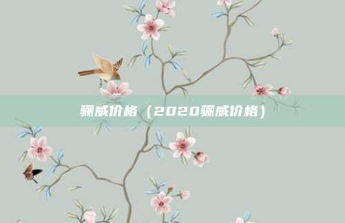 骊威价格(2020骊威价格)