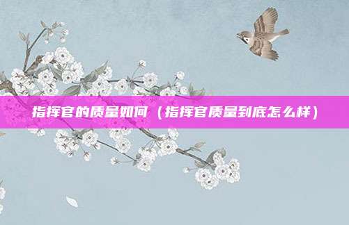 指挥官的质量如何(指挥官质量到底怎么样)