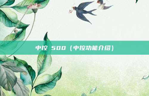 中控Ⅹ500(中控功能介绍)