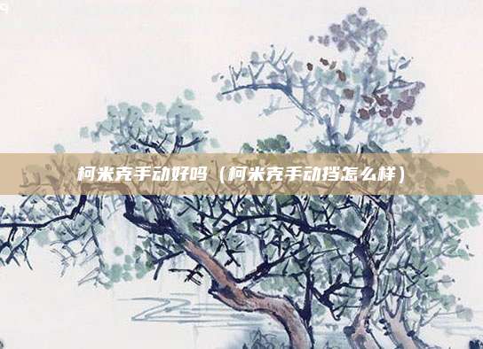 柯米克手动好吗(柯米克手动挡怎么样)