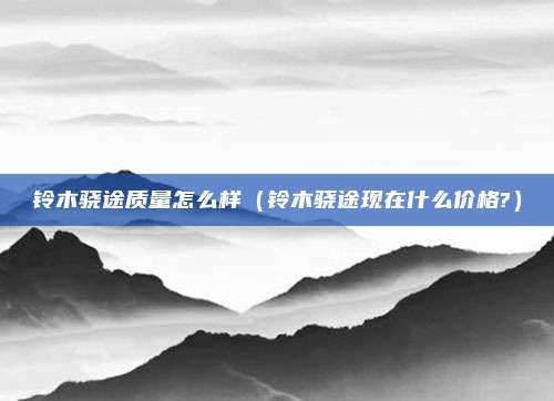铃木骁途质量怎么样（铃木骁途现在什么价格?）