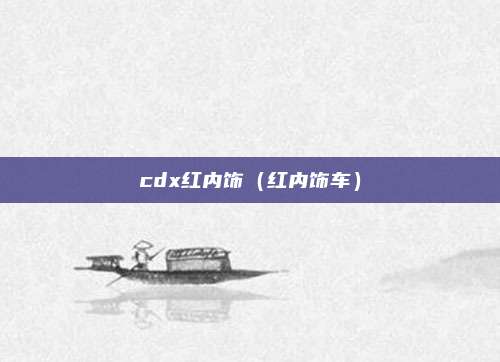 cdx红内饰（红内饰车）