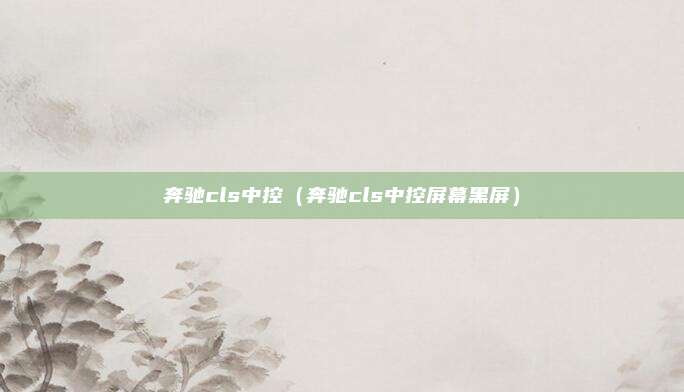 奔驰cls中控（奔驰cls中控屏幕黑屏）
