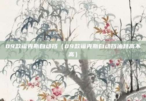 09款福克斯自动挡（09款福克斯自动挡油耗高不高）