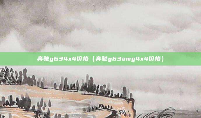 奔驰g634x4价格（奔驰g63amg4x4价格）