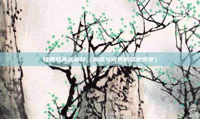 锐界和翼虎油耗（翼虎与锐界的驾驶感受）