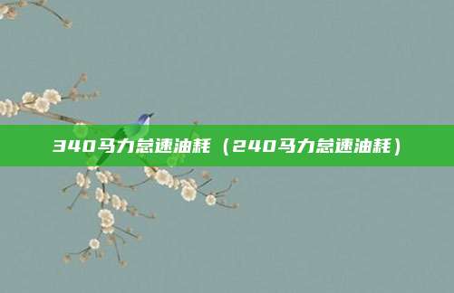 340马力怠速油耗（240马力怠速油耗）