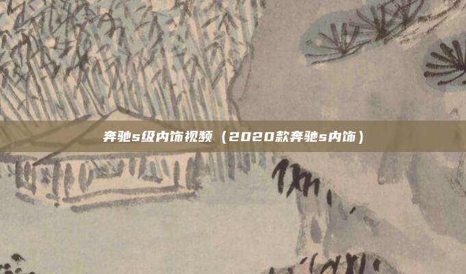 奔驰s级内饰视频（2020款奔驰s内饰）
