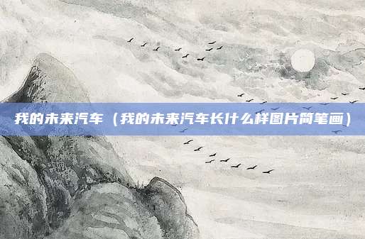 我的未来汽车(我的未来汽车长什么样图片简笔画)