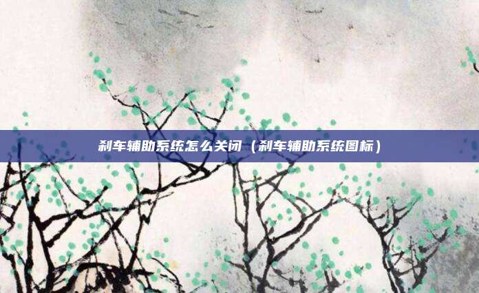 刹车辅助系统怎么关闭（刹车辅助系统图标）