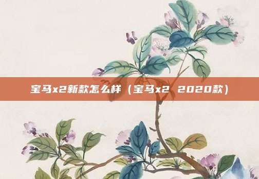 宝马x2新款怎么样（宝马x2 2020款）
