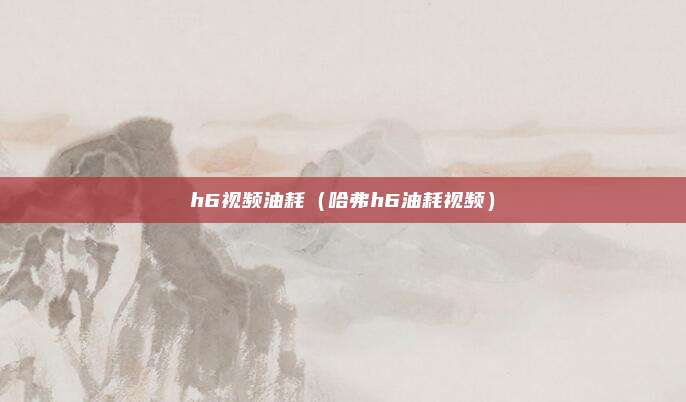 h6视频油耗（哈弗h6油耗视频）