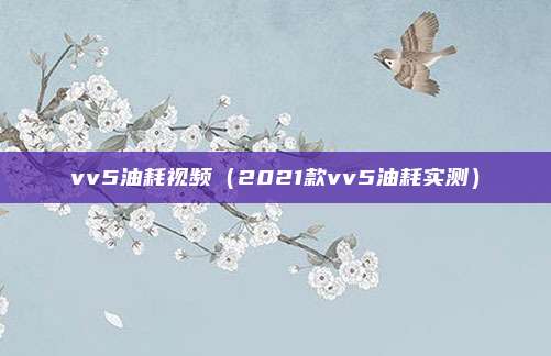 vv5油耗视频（2021款vv5油耗实测）