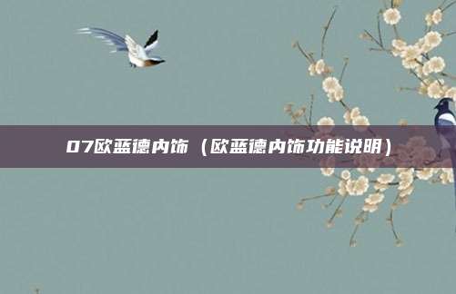 07欧蓝德内饰（欧蓝德内饰功能说明）