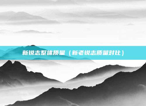 新锐志整体质量（新老锐志质量对比）