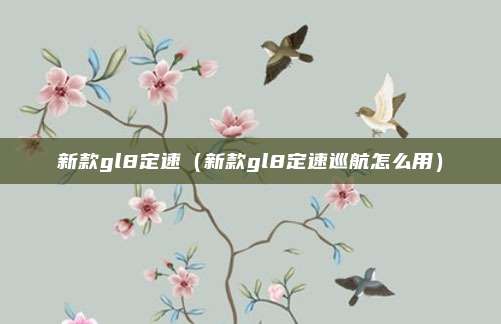 新款gl8定速（新款gl8定速巡航怎么用）