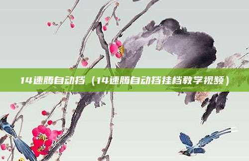 14速腾自动挡（14速腾自动挡挂档教学视频）