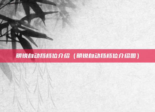 明锐自动挡档位介绍（明锐自动挡档位介绍图）