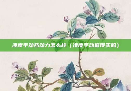 凌度手动挡动力怎么样（凌度手动值得买吗）