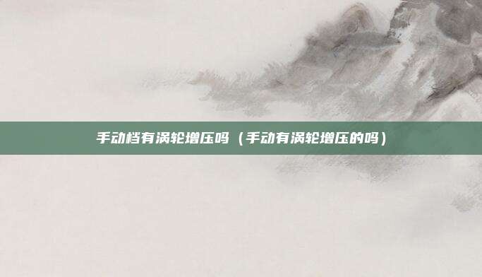 手动档有涡轮增压吗(手动有涡轮增压的吗)