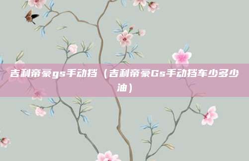吉利帝豪gs手动挡(吉利帝豪Gs手动挡车少多少油)