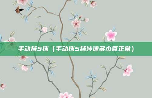 手动挡5挡(手动挡5挡转速多少算正常)
