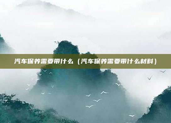 汽车保养需要带什么（汽车保养需要带什么材料）
