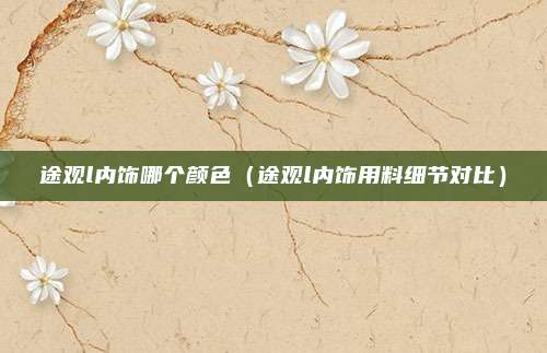 途观l内饰哪个颜色（途观l内饰用料细节对比）