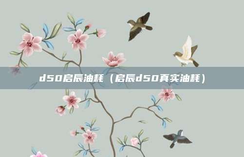 d50启辰油耗（启辰d50真实油耗）
