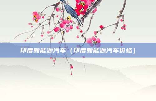 印度新能源汽车（印度新能源汽车价格）