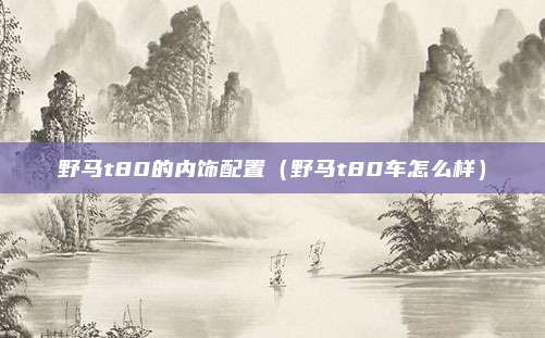 野马t80的内饰配置（野马t80车怎么样）