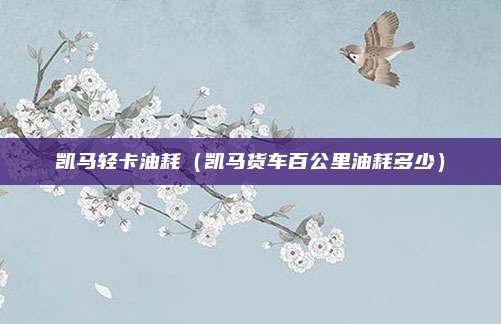 凯马轻卡油耗（凯马货车百公里油耗多少）