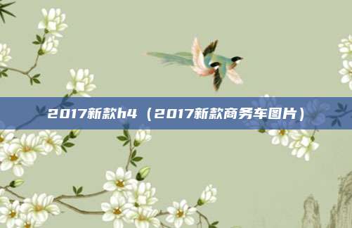 2017新款h4(2017新款商务车图片)