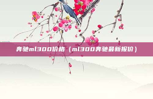奔驰ml300价格(ml300奔驰最新报价)