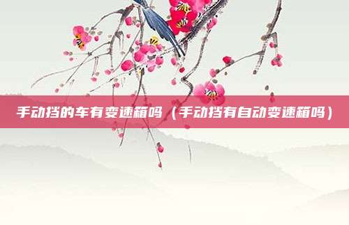 手动挡的车有变速箱吗(手动挡有自动变速箱吗)