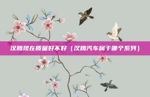 汉腾现在质量好不好（汉腾汽车属于哪个系列）