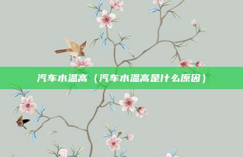 汽车水温高（汽车水温高是什么原因）