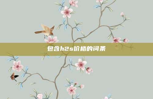 包含h2s价格的词条