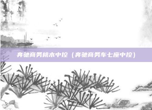 奔驰商务桃木中控(奔驰商务车七座中控)