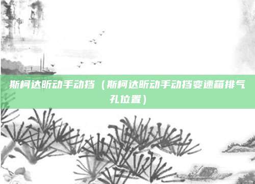 斯柯达昕动手动挡(斯柯达昕动手动挡变速箱排气孔位置)