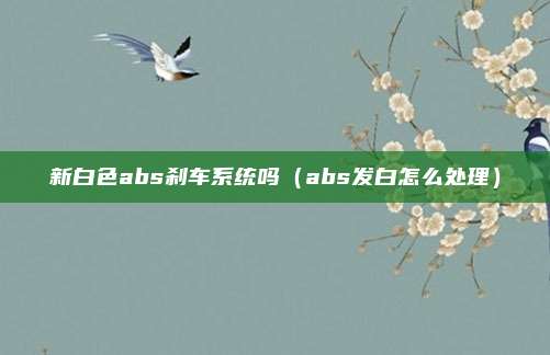 新白色abs刹车系统吗(abs发白怎么处理)