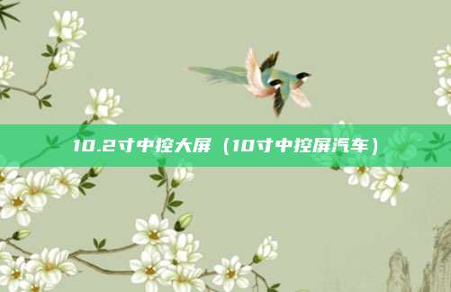 10.2寸中控大屏（10寸中控屏汽车）