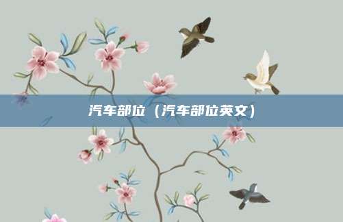 汽车部位（汽车部位英文）
