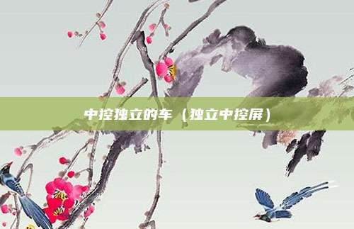 中控独立的车（独立中控屏）