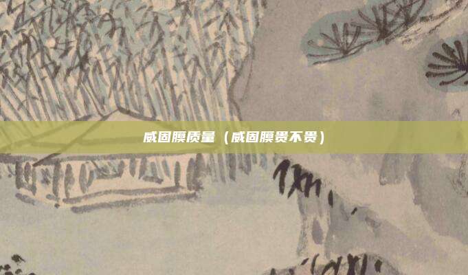 威固膜质量（威固膜贵不贵）